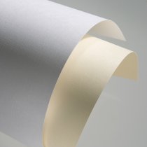 Dekorativní karton Gallery Papieru Canvas bílý op. - 20 listů