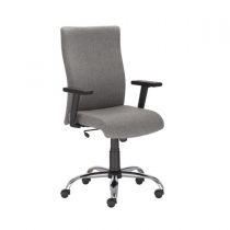 Otočná židle NOVÝ STYL William R Steel oban šedá EF-031